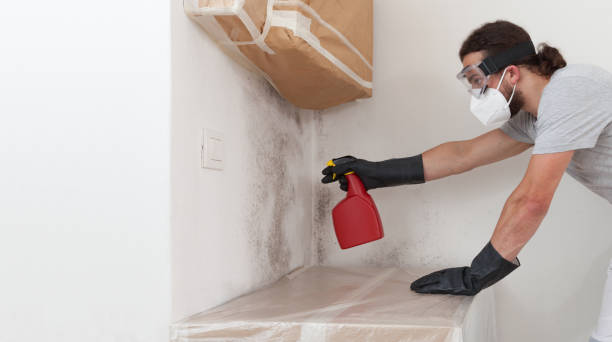 Professional Black Mold Remediation technician working in Moncure, NC