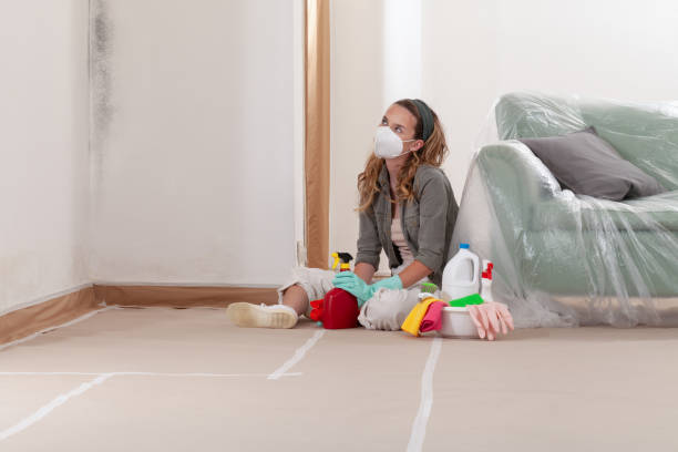 Reliable Black Mold Remediation contractor in Moncure, NC by Car Mold Remediation